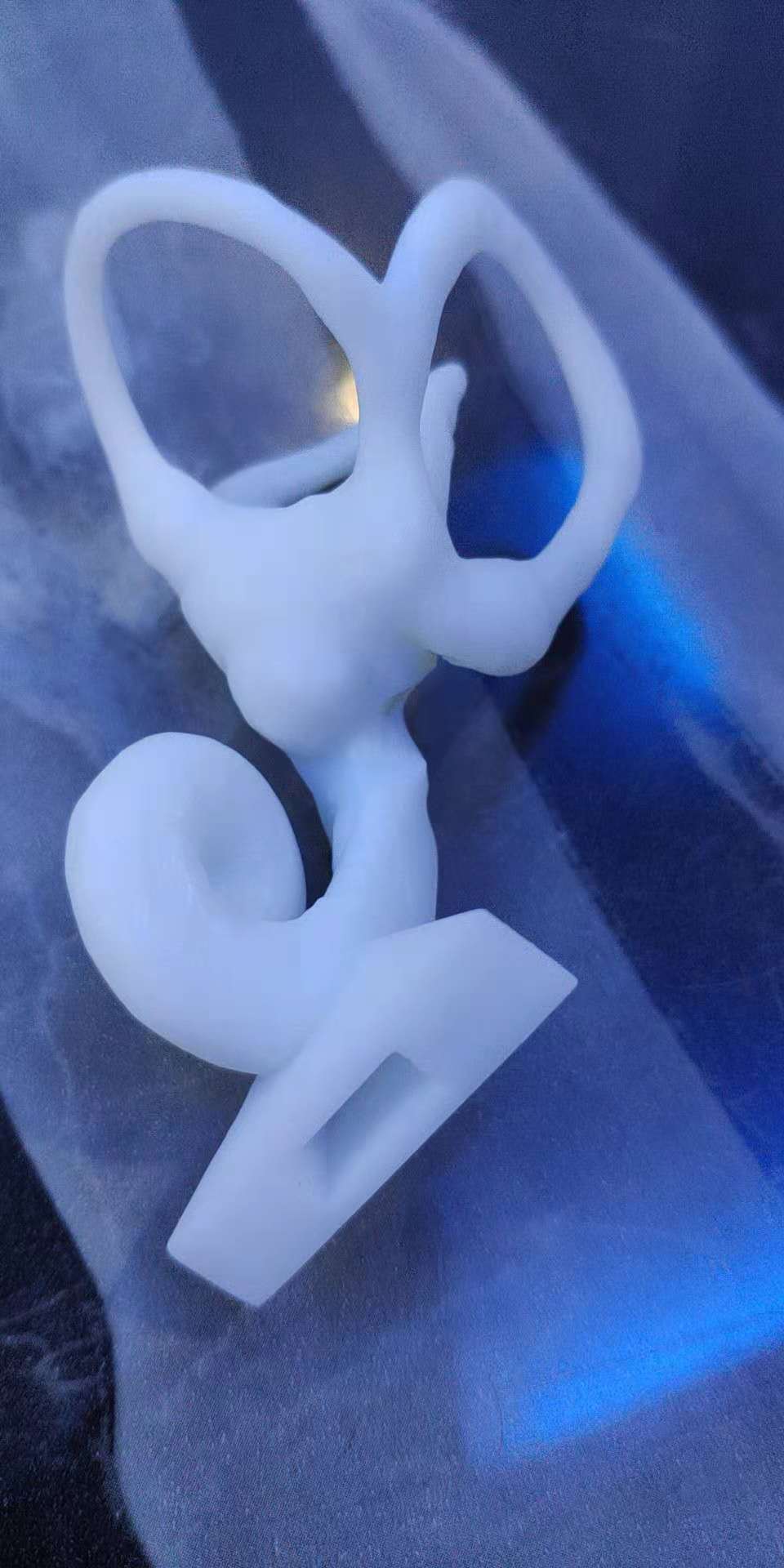 3D打印的带空间方向标识的半规管模型